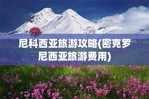 尼科西亚旅游攻略(密克罗尼西亚旅游费用)