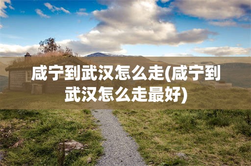 咸宁到武汉怎么走(咸宁到武汉怎么走最好)