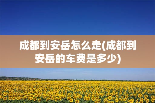 成都到安岳怎么走(成都到安岳的车费是多少)