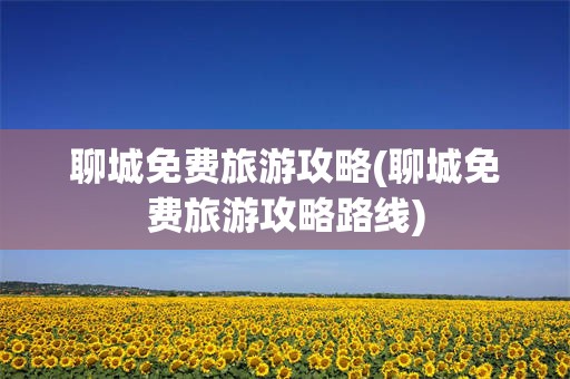 聊城免费旅游攻略(聊城免费旅游攻略路线)