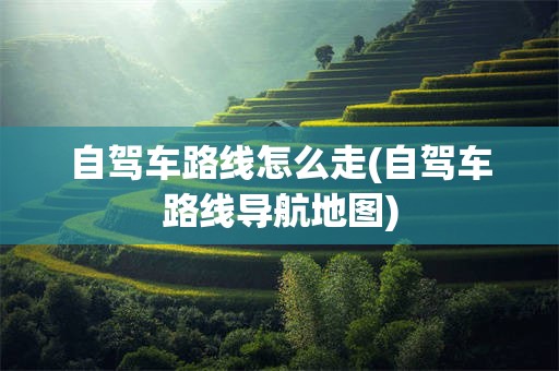 自驾车路线怎么走(自驾车路线导航地图)