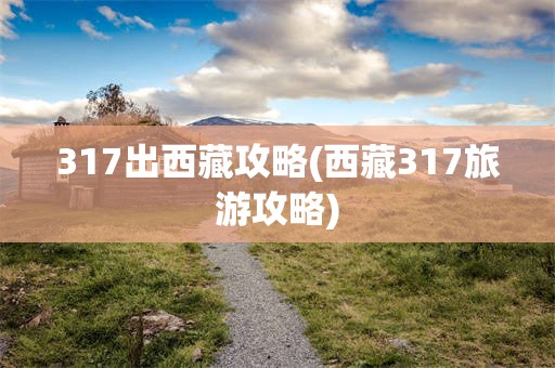 317出西藏攻略(西藏317旅游攻略)