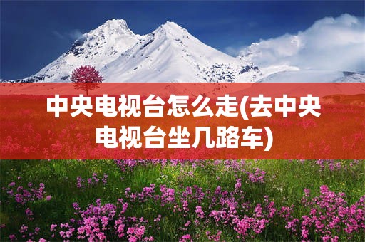 中央电视台怎么走(去中央电视台坐几路车)