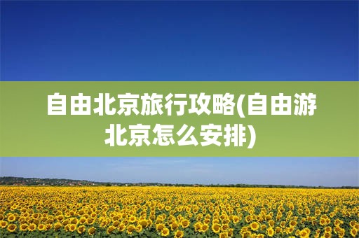 自由北京旅行攻略(自由游北京怎么安排)