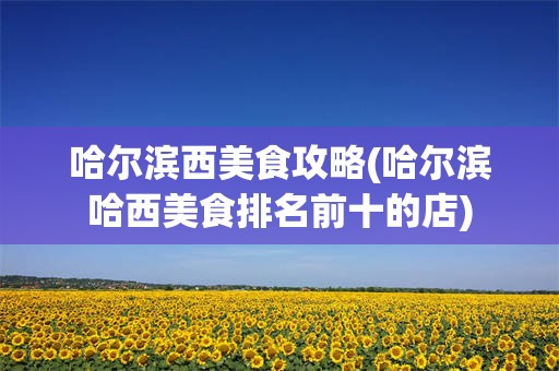 哈尔滨西美食攻略(哈尔滨哈西美食排名前十的店)