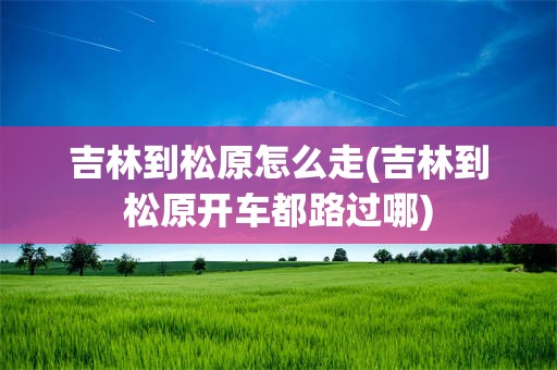吉林到松原怎么走(吉林到松原开车都路过哪)