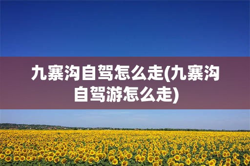 九寨沟自驾怎么走(九寨沟自驾游怎么走)