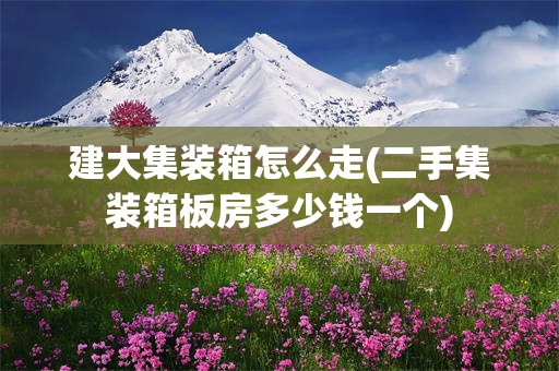 建大集装箱怎么走(二手集装箱板房多少钱一个)