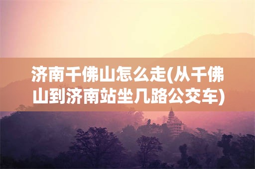 济南千佛山怎么走(从千佛山到济南站坐几路公交车)