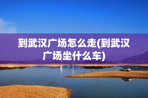 到武汉广场怎么走(到武汉广场坐什么车)