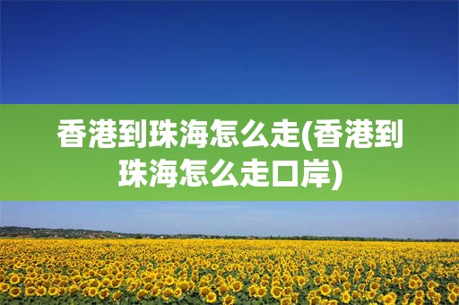 香港到珠海怎么走(香港到珠海怎么走口岸)