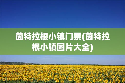 茵特拉根小镇门票(茵特拉根小镇图片大全)