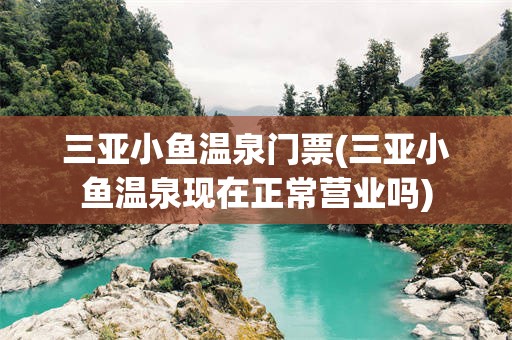 三亚小鱼温泉门票(三亚小鱼温泉现在正常营业吗)