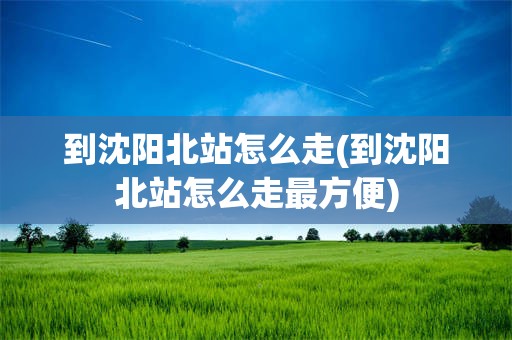 到沈阳北站怎么走(到沈阳北站怎么走最方便)