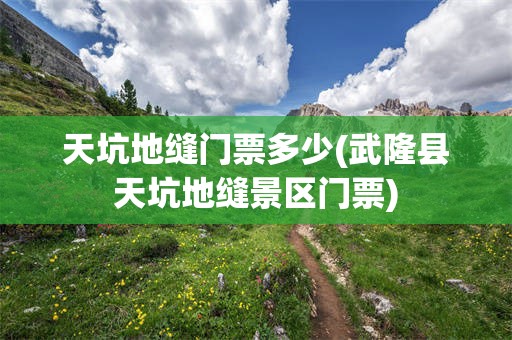 天坑地缝门票多少(武隆县天坑地缝景区门票)