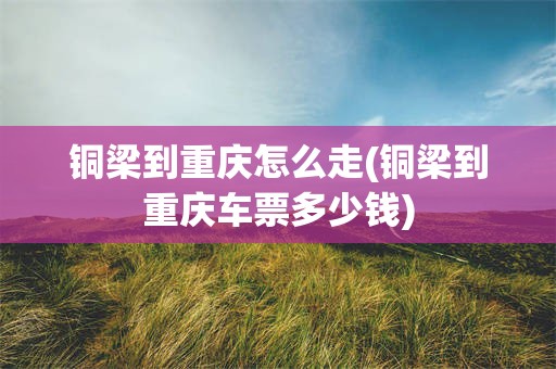 铜梁到重庆怎么走(铜梁到重庆车票多少钱)