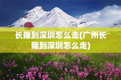 长隆到深圳怎么走(广州长隆到深圳怎么走)