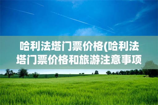 哈利法塔门票价格(哈利法塔门票价格和旅游注意事项是什么?)