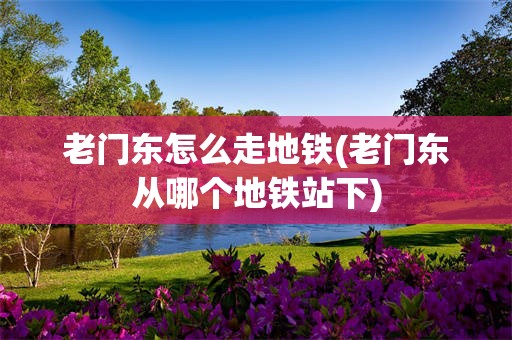 老门东怎么走地铁(老门东从哪个地铁站下)