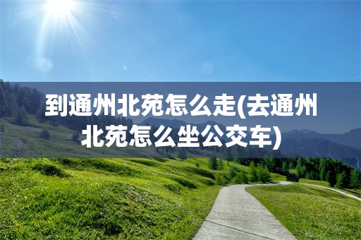 到通州北苑怎么走(去通州北苑怎么坐公交车)