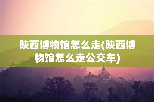 陕西博物馆怎么走(陕西博物馆怎么走公交车)