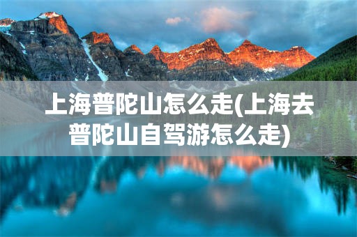 上海普陀山怎么走(上海去普陀山自驾游怎么走)