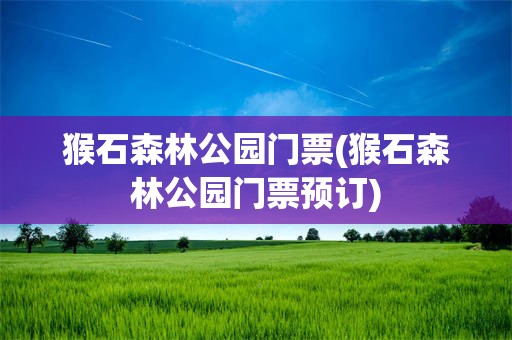 猴石森林公园门票(猴石森林公园门票预订)