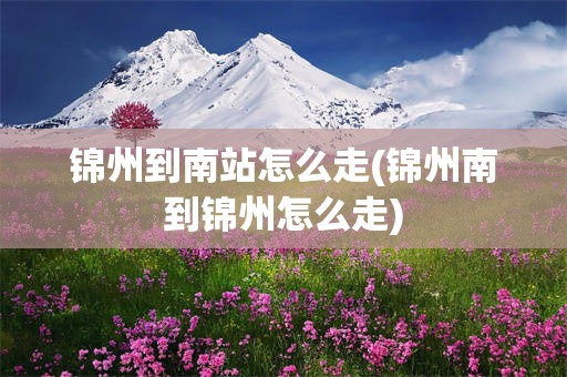 锦州到南站怎么走(锦州南到锦州怎么走)