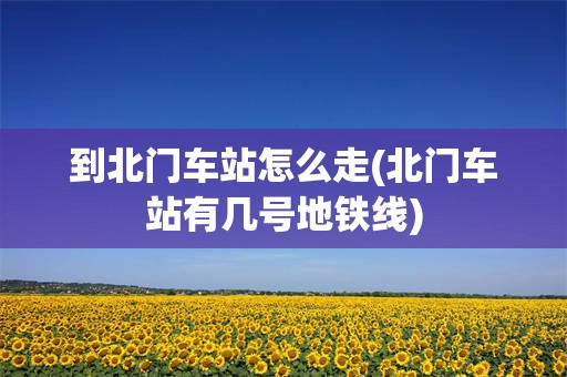 到北门车站怎么走(北门车站有几号地铁线)