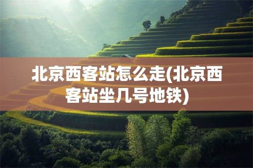 北京西客站怎么走(北京西客站坐几号地铁)
