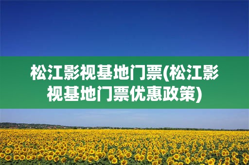 松江影视基地门票(松江影视基地门票优惠政策)