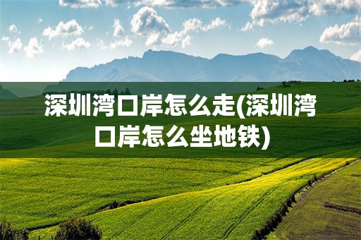 深圳湾口岸怎么走(深圳湾口岸怎么坐地铁)