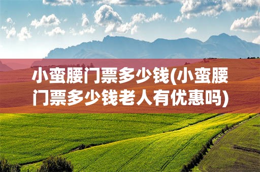 小蛮腰门票多少钱(小蛮腰门票多少钱老人有优惠吗)