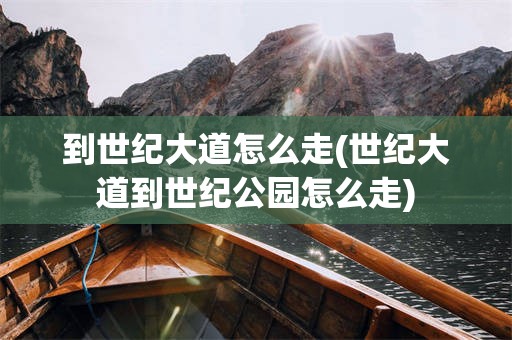 到世纪大道怎么走(世纪大道到世纪公园怎么走)