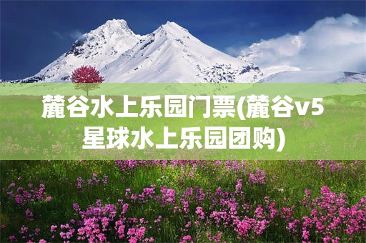 麓谷水上乐园门票(麓谷v5星球水上乐园团购)