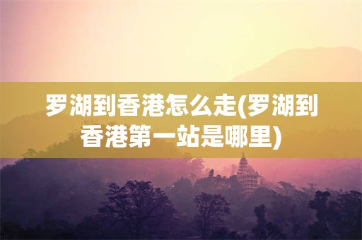 罗湖到香港怎么走(罗湖到香港第一站是哪里)