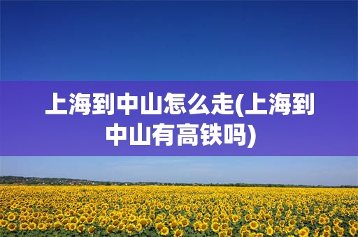 上海到中山怎么走(上海到中山有高铁吗)