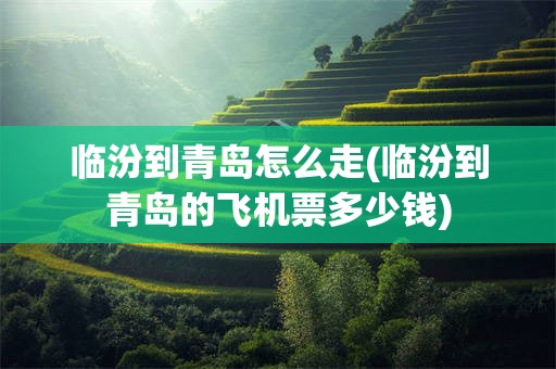 临汾到青岛怎么走(临汾到青岛的飞机票多少钱)