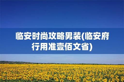 临安时尚攻略男装(临安府行用准壹佰文省)