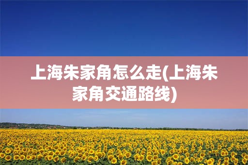 上海朱家角怎么走(上海朱家角交通路线)