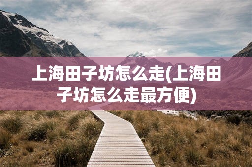 上海田子坊怎么走(上海田子坊怎么走最方便)
