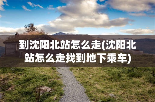 到沈阳北站怎么走(沈阳北站怎么走找到地下乘车)