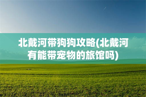 北戴河带狗狗攻略(北戴河有能带宠物的旅馆吗)