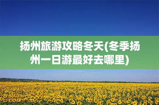 扬州旅游攻略冬天(冬季扬州一日游最好去哪里)