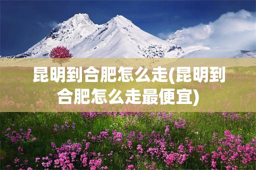 昆明到合肥怎么走(昆明到合肥怎么走最便宜)