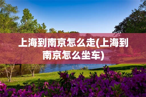 上海到南京怎么走(上海到南京怎么坐车)