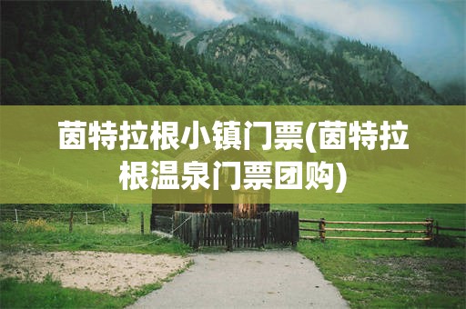 茵特拉根小镇门票(茵特拉根温泉门票团购)