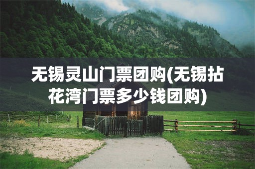 无锡灵山门票团购(无锡拈花湾门票多少钱团购)