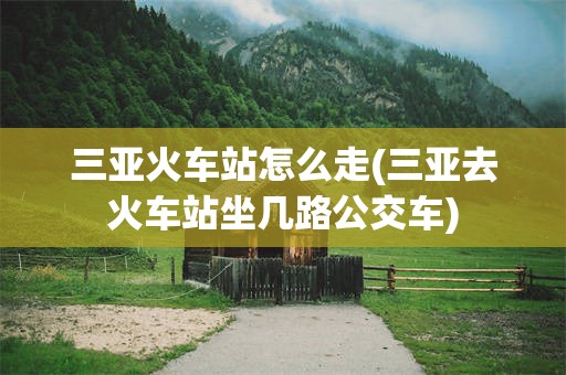 三亚火车站怎么走(三亚去火车站坐几路公交车)