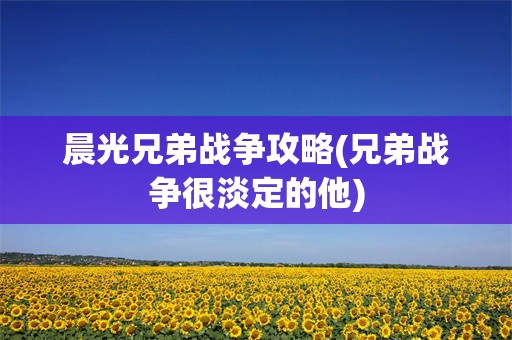 晨光兄弟战争攻略(兄弟战争很淡定的他)